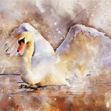 Swan Upping, i cigni della Regina